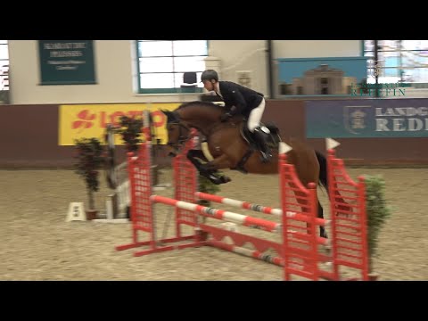 Sir Legend v. Sergeant Pepper - Landboy, Mecklenburger Hengst * 2019