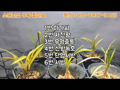 유튜브 썸네일