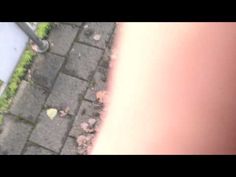 DRL D1 - Smitshoek D2 (23-11-2013)