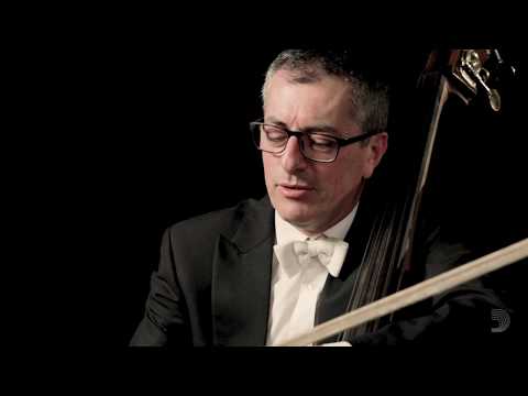 Gabriele Ragghianti: Bass Bow Control