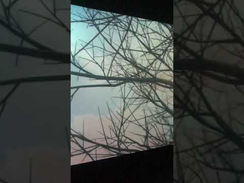 JARDÍN en Jorge Juan 53, para GROSVENOR MADRID