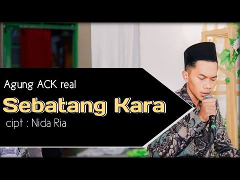 SEBATANG KARA (Kusadari akan diri ini) • cover by Agung ACK