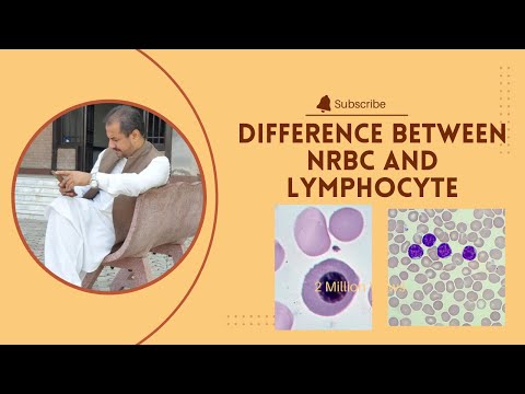 Difference between lymphocytes and nrbc and its related conditions