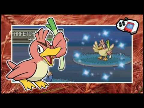 [LIVE] Shiny Farfetch'd in Platinum after 40 Radar Chain!