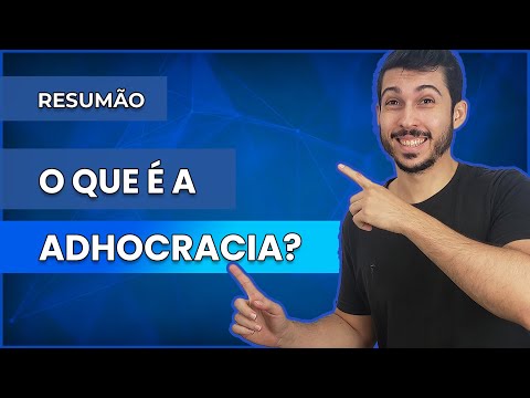 RESUMÃO - O que é a Adhocracia?