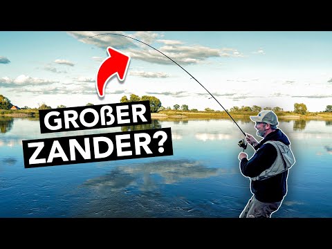 So wird jeder ZANDERANGLER - Der umfassende Einsteiger-Guide 🎣 (Grundmontage & Faulenzermethode)