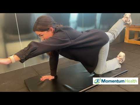 How to Perform a “Bird Dog” exercise for core stability and back injury prevention.