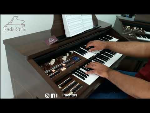 Órgão Eletrônico Tokai Md 20 - Hino 427 H5 CCB - Loja Teclasom