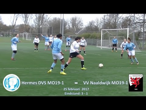 Samenvatting Hermes DVS MO19-1 - Naaldwijk MO19-1