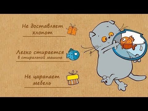 Мои басики и зайка ми. Что же для них нужно.