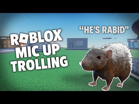 Trolling as a RAT on ROBLOX... | Roblox Voice-Chat Trolling