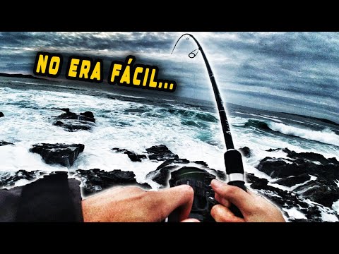 FIRST day of SPINNING fishing 2026… and it started STRONG 🎣🌊