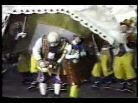 Palmyra String Band 1984- Pinocchio