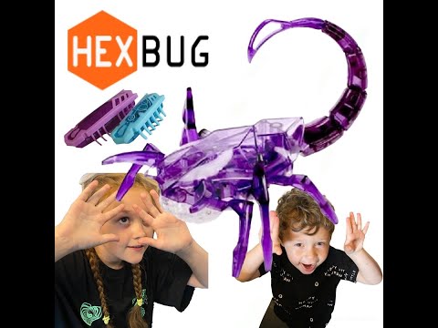 Hexbug Scorpion vs Neon Nano