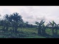 Gunung Pasi Singkawang