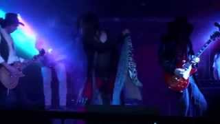 FLESH! tributo a Aerosmith (Show completo 26-09-2014) by Roy's videos HD