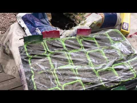 Now start the growing season!