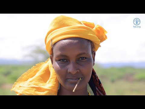 The fight against drought in southern Ethiopia