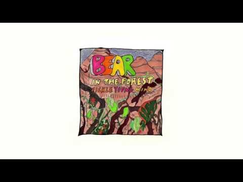 Bear In The Forest - All That Noise (Fickle Young Mind EP)