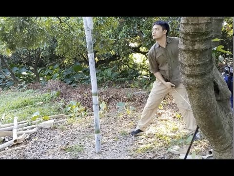 LK Chen test Magnificent Chu Jian (560 g/1 lb 3.7 oz blade) on Cutting, Sharpness & Elasticity