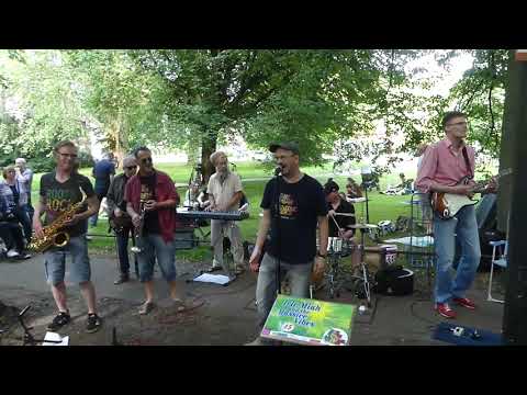 Irie Miah & the Massive Vibes - Wicked Man