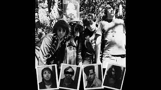 The Dwarves LICK IT The Psychedelic Years 1983 1986 24  Mad And Kinda Sad