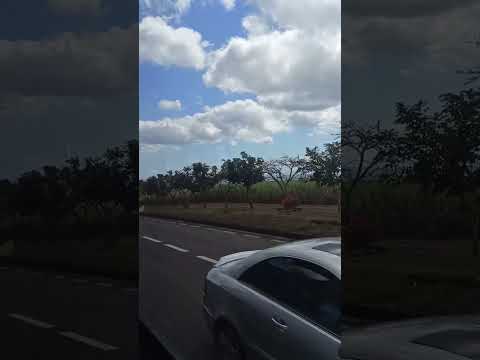 Bus Trip from Rosshill to FLIC N FLAC BEACH