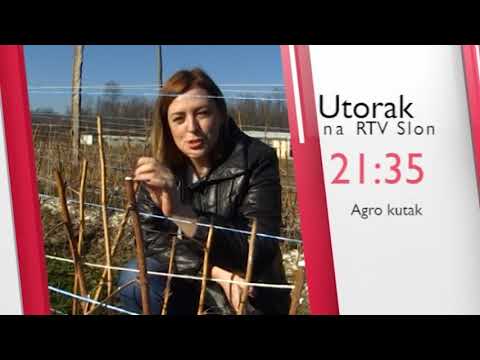 NAJAVA - Agro kutak - 06.02.2018.
