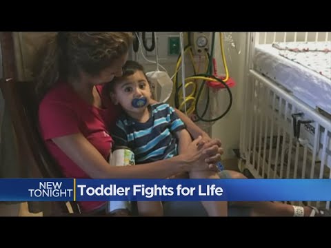 Toddler Fights For His Life After Being Infected With E. Coli.
