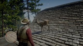 Red Dead Redemption 2 How the hell this deer got up here?