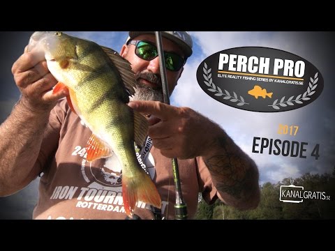 Perch Pro 2017 - EPISODE 4  - Kanalgratis.se (with French, German & Dutch subtitles)