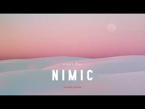 Ramona Onufrei - Fara Tine... nimic // cover