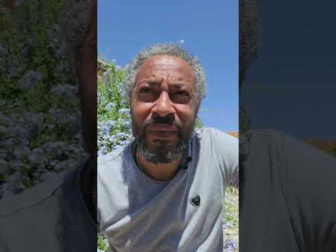 "Conduite sur glace : comment retrouver le contrôle de sa vie"