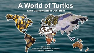 A World of Turtles: Turtle Diversity Across Our Planet