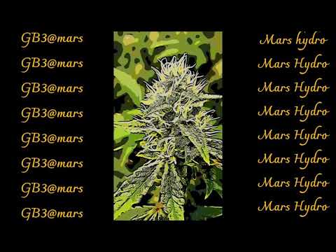 8oz harvest The Riddler OG PART 4 the final chapter Mars site link and promo code in description