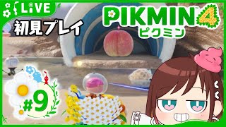 ピクミン大量死の悪夢を繰り返すな【ピクミン4初見プレイ】 #おはようvtuber  #9