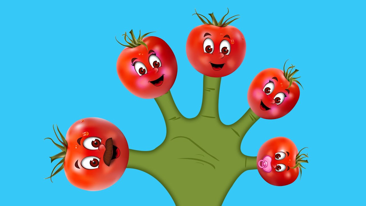The Finger Family Tomato Family Nursery Rhyme | Tomato Finger Family Songs