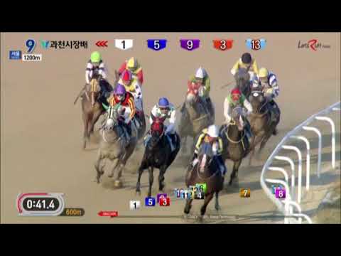 Choinma - Gwacheon Mayor's Cup 2017