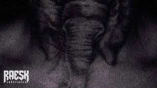 XXXTENTACION - Elephant in the room (Subtitulado al Español)