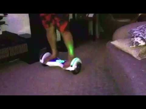 Wondercoons BSH Cat chasing Segwey