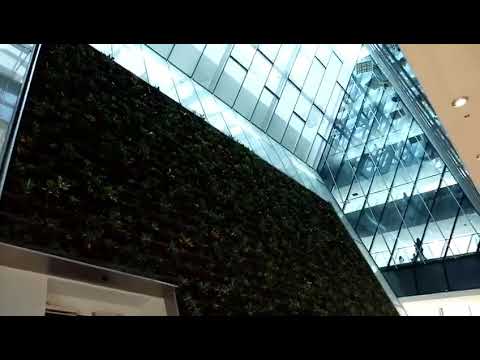 img-video