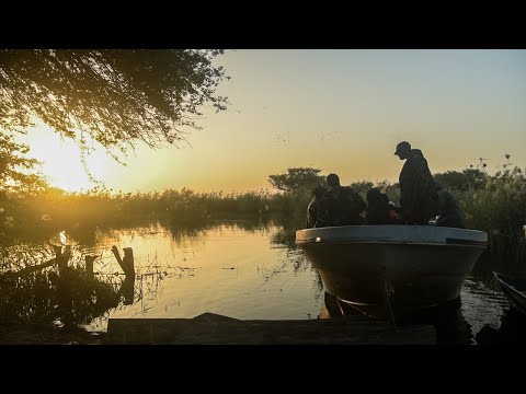 Conserving wetlands and migratory water birds in Senegal