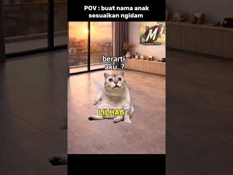 berarti LILHAB di balik jadi... #hiburan #lucu #komedi #memes #memekucing