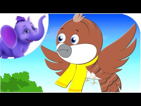 The Cuckoo - Nursery Rhyme with Lyrics