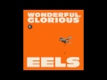 Eels - I Am Building A Shrine