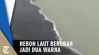 Download lagu Heboh Video Viral Laut Terbelah Menjadi Dua Warna di Jembatan Suramadu mp3