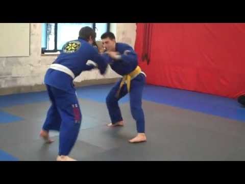 Peter Fryc vs Ian Harper Kyuzo BJJ Tournament - Armbar