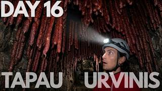 DAY 16. URVAI IR JŲ YPATYBĖS