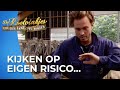 Dave Roelvink OVER Z'N NEK tijdens werken op de boerderij! ? | De Roelvinkjes #AFL3