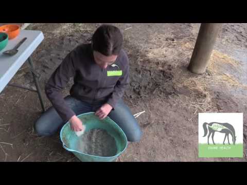 YouTube video about: How to get a horse to eat powdered supplements?